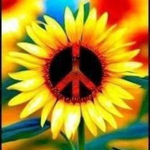 Meet your Posher, Melinda